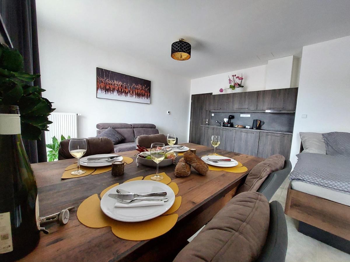 Apartman Rezidence Javor Železná Ruda Zewnętrze zdjęcie